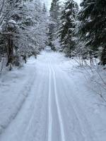 Bild uppladdad av Elisabeth 