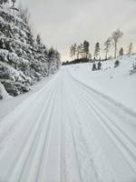 Bild uppladdad av Fredrik P 