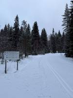 Bild uppladdad av Lovisa 