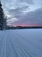 Bild uppladdad av Tina