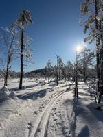 Bild uppladdad av Sanna