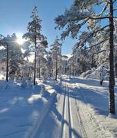 Bild uppladdad av Jöns