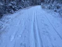 Bild uppladdad av Spårfotografen