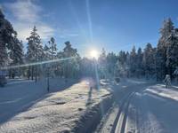 Bild uppladdad av My Rönnols