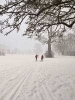 Bild uppladdad av Ylva 