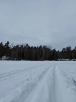 Bild uppladdad av Torbjörn