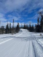 Bild uppladdad av My Rönnols