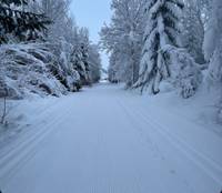 Bild uppladdad av Micke 