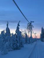 Bild uppladdad av Maja Mörth