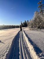 Bild uppladdad av Ylva