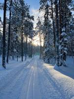 Bild uppladdad av Anonym