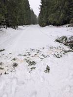 Bild uppladdad av Fimpen 