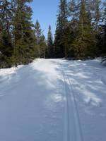 Bild uppladdad av Helene Sjöstedt