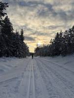 Bild uppladdad av Sanna