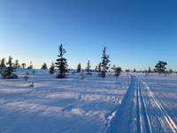 Bild uppladdad av Anders Hvittfeldt