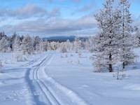 Bild uppladdad av Anonym