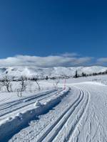 Bild uppladdad av HB