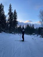 Bild uppladdad av Sanna