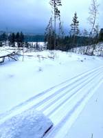 Bild uppladdad av LG