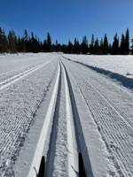 Bild uppladdad av MJ