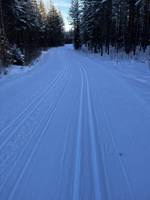 Bild uppladdad av Henrik