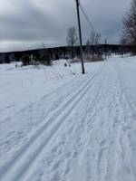 Bild uppladdad av Anonym