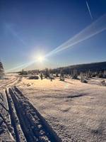 Bild uppladdad av Ylva