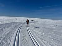 Bild uppladdad av Stegun