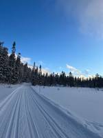 Bild uppladdad av Lina