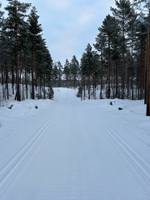 Bild uppladdad av Korsnäs Skidor