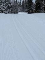 Bild uppladdad av Lennart Ehrencrona