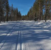 Bild uppladdad av Jesper