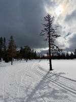 Bild uppladdad av Ludvig 