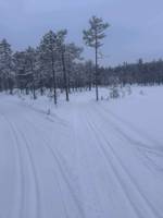 Bild uppladdad av Fredrik P 