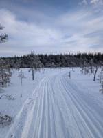Bild uppladdad av Peder Mørch-Olsen