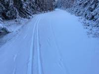 Bild uppladdad av Spårfotografen