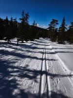 Bild uppladdad av Torbjörn Ekstrand