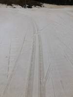 Bild uppladdad av Fredrik