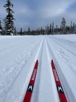 Bild uppladdad av Martin