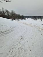 Bild uppladdad av Niklas