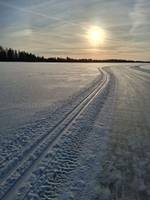 Bild uppladdad av Martin