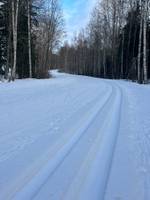 Bild uppladdad av Mona