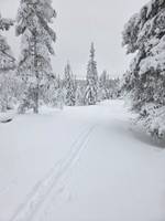 Bild uppladdad av Bosse