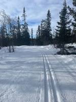 Bild uppladdad av My Rönnols