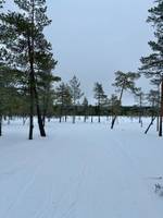 Bild uppladdad av Ludvig 