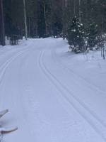 Bild uppladdad av Fredrik P 