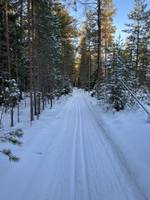 Bild uppladdad av LL