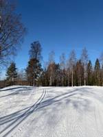 Bild uppladdad av Sanna