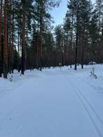 Bild uppladdad av Joakim