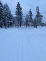 Bild uppladdad av Sophie